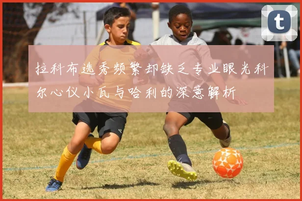 拉科布选秀频繁却缺乏专业眼光科尔心仪小瓦与哈利的深意解析